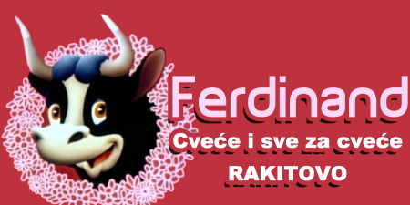 Ferdinand doo