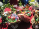 Etno festival u Poljani