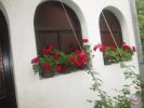 Festival hrane, vina i harmonike