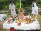 Festival hrane, vina i harmonike