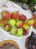 Festival hrane, vina i harmonike