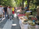 35. takmičenje Zlatne ruke - Sokobanja