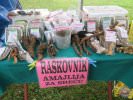 Petrovdanski Etno sajam u Jagodini
