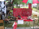 Manifestacija sajam Dunava Golubac
